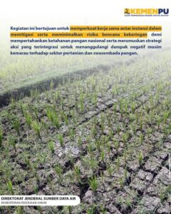 images (1)