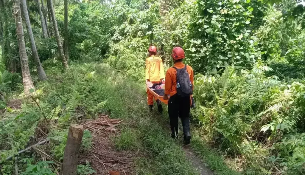 cnjaKoGoYS