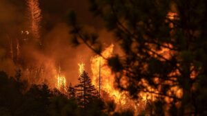 california-wildfires-5_169
