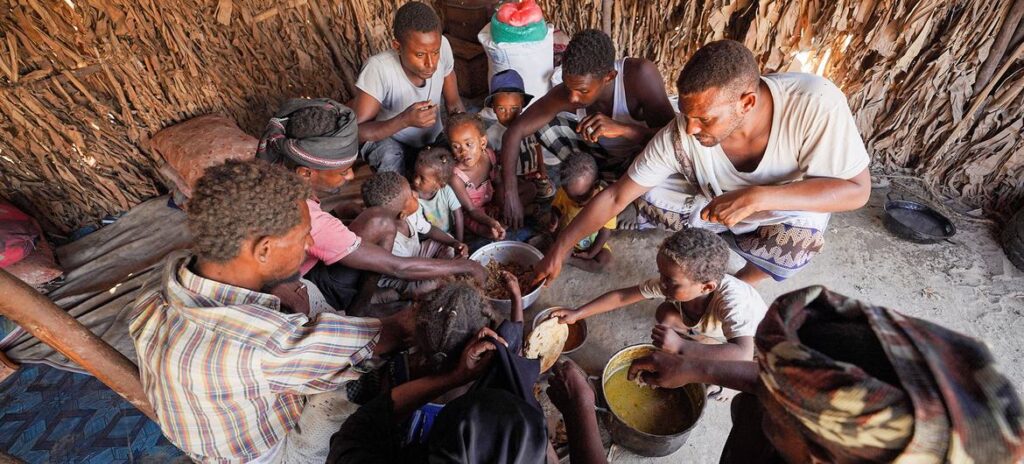 wfp