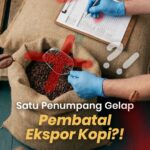 Residu Pestisida di Atas Ambang Batas Bisa Hancurkan Reputasi Kopi Indonesia, Disiplin di Kebun Jadi Kunci