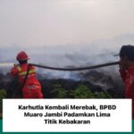 Karhutla Kembali Merebak, BPBD Muaro Jambi Padamkan Lima Titik Kebakaran