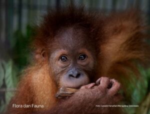 IMG_20260716_020511