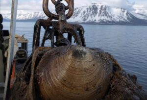 IMG_20260725_174147